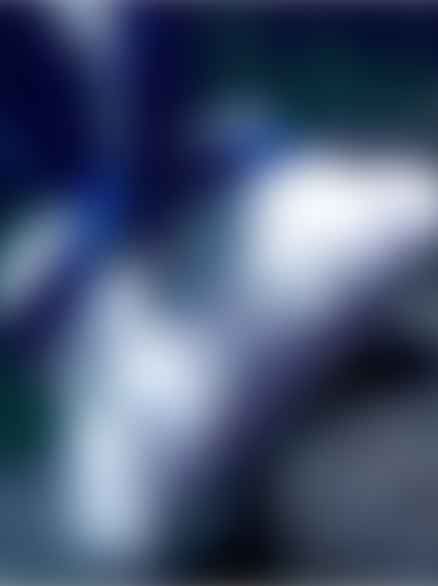 Robotic Pool Cleaners